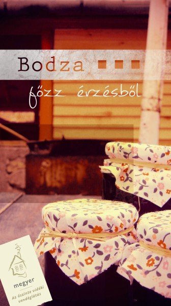 bodza