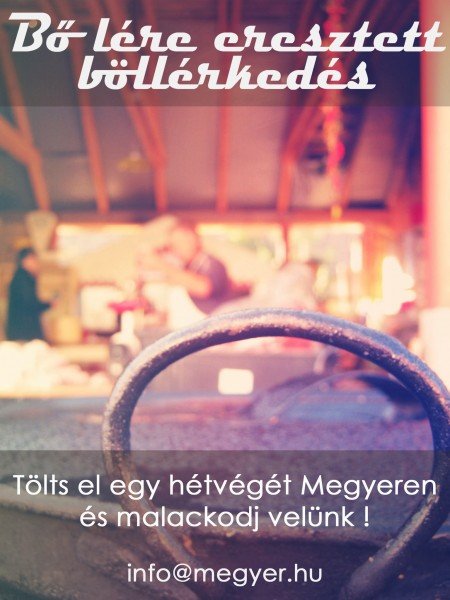 Megyeri malackodás